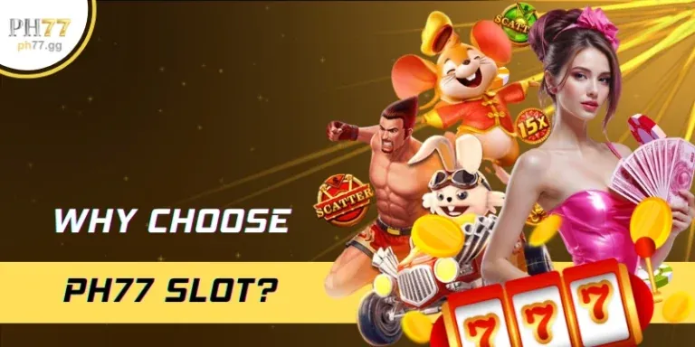 Phân tích chuyên sâu về Xibet Code